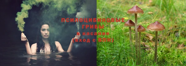 синтетический гашиш Краснослободск